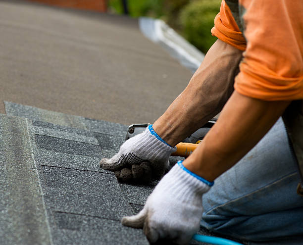 Best Roof Repair Services  in Myrtle Point, OR