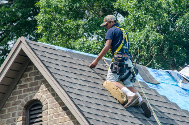 Best Storm Damage Roof Repair  in Myrtle Point, OR